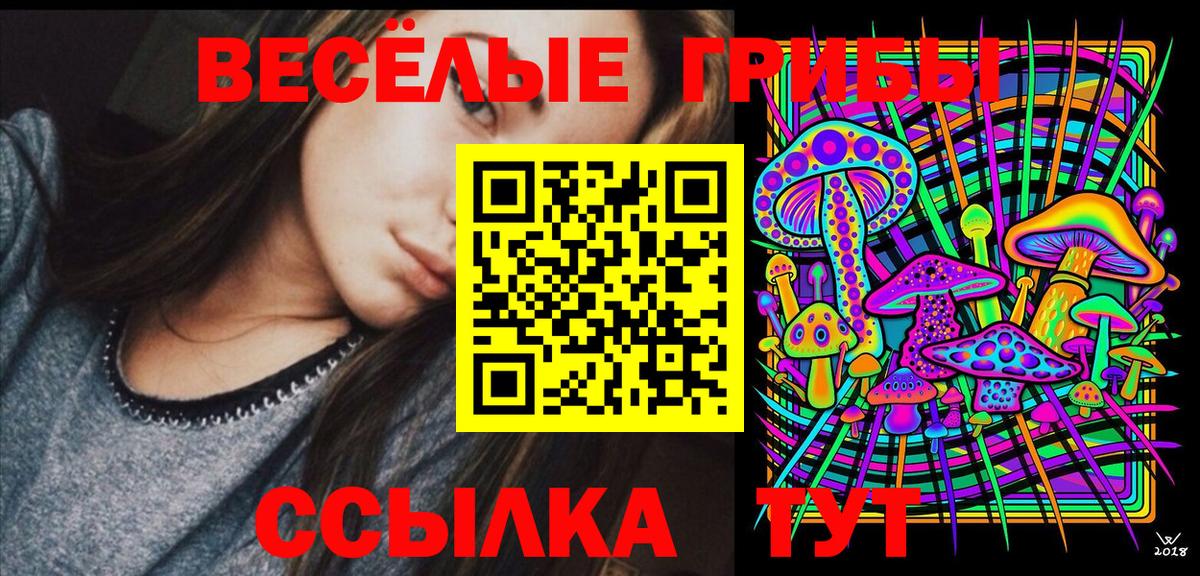 Псилоцибиновые грибы мухоморы  Псилоцибиновые грибы мухоморы  как найти   Майкоп  Вход с VPN 